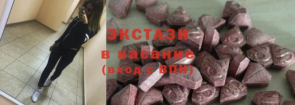 ECSTASY Богородицк
