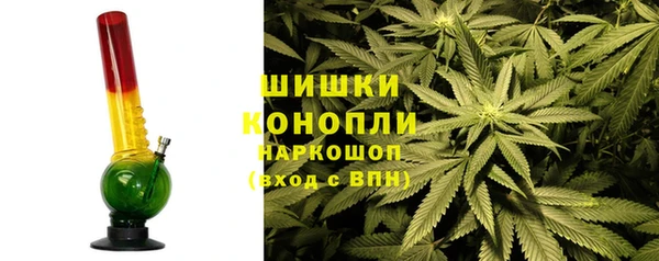 ECSTASY Богородицк