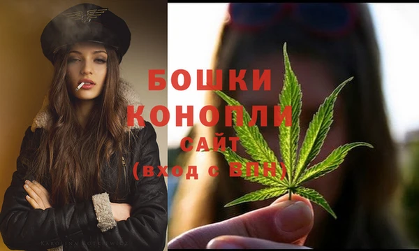 ECSTASY Богородицк