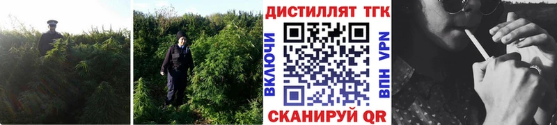 сколько стоит  Ессентуки  Дистиллят ТГК жижа 