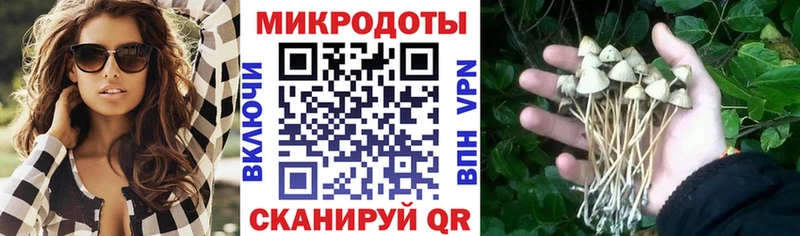 OMG зеркало  Ессентуки  Псилоцибиновые грибы прущие грибы 